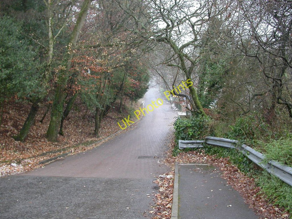 Photo 6"x4" Ringwood, Folly Farm Lane Ringwood\/SU1505 c2010