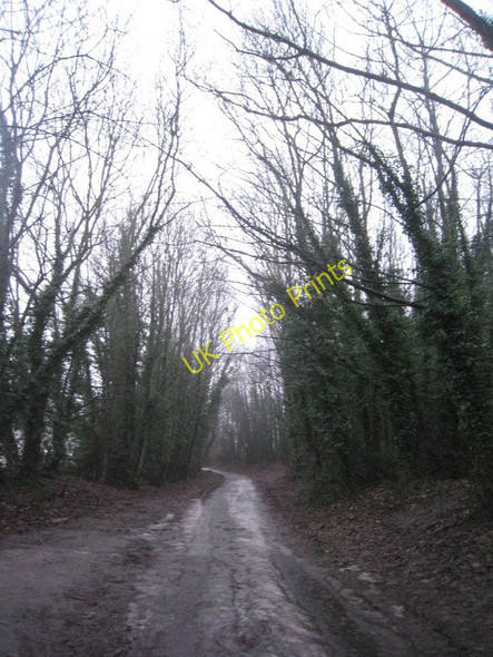 Photo 6"x4" Chapel Hill, Welton Welton\/SE9627 c2010