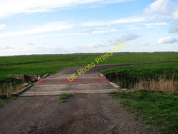 Photo 6"x4" Chedgrave Marshes Fritton\/TG4600 c2008