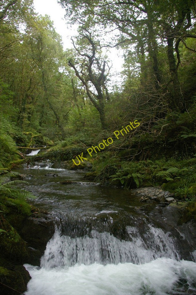 Photo 6"x4" Nant Gwernol Abergynolwyn c2009