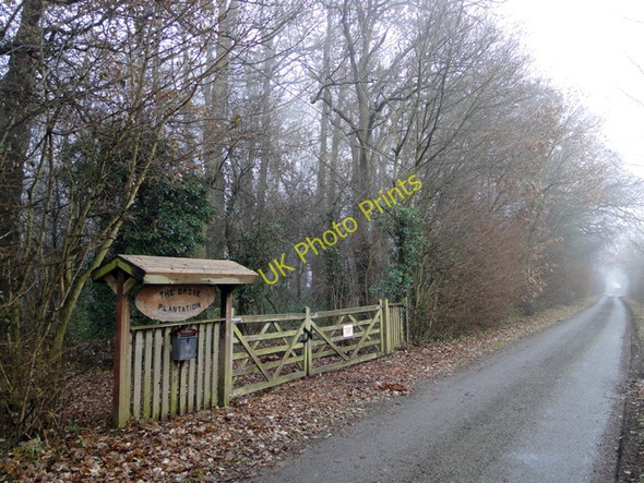 Photo 6"x4" Entrance to The Grove Plantation Thwaite St Mary c2010