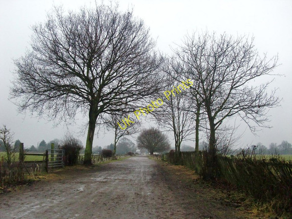 Photo 6"x4" Lane from Wyke Green to the lake, Osterley Park Ealing c2010