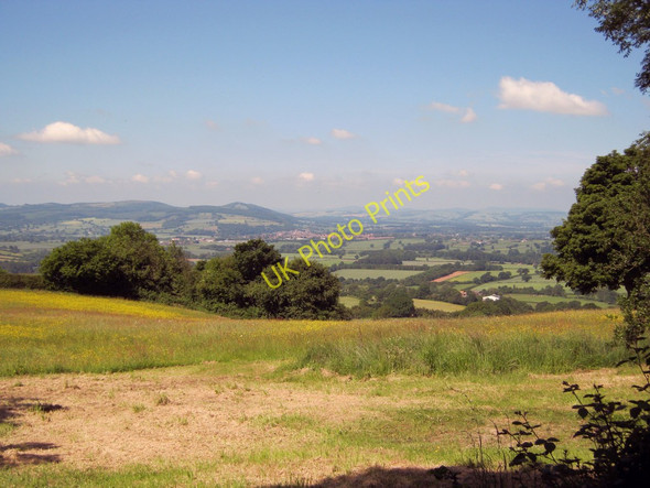 Photo 6"x4" Meadow near Knowbury Farden\/SO5775 c2010