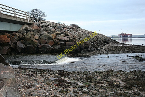 Photo 6"x4" Rosskeen Burn Obsdale Park c2008