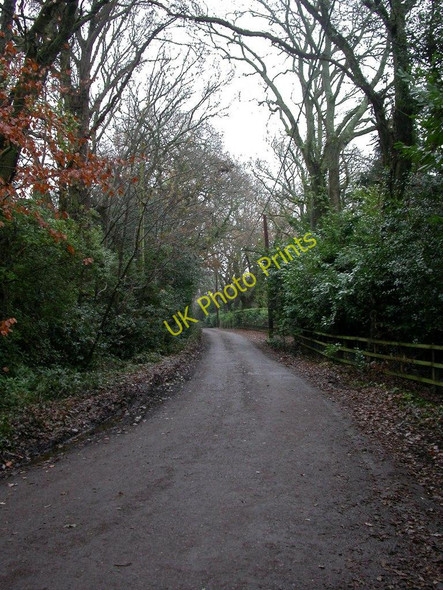 Photo 6"x4" Hightown, Forest Lane Ringwood\/SU1505 c2010