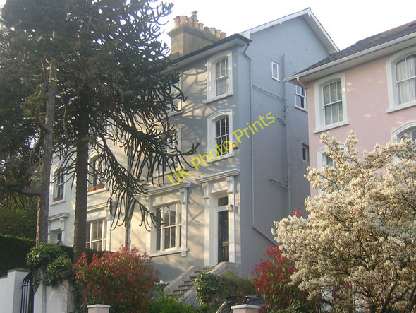 Photo 6"x4" Fox Hill, spring Penge c2009