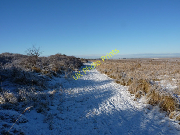 Photo 6"x4" Wintertime footpath behind the dunes Rimac c2010