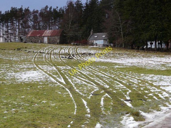 Photo 6"x4" Tracks in the snow at Culnara Migdale\/NH6292 c2010