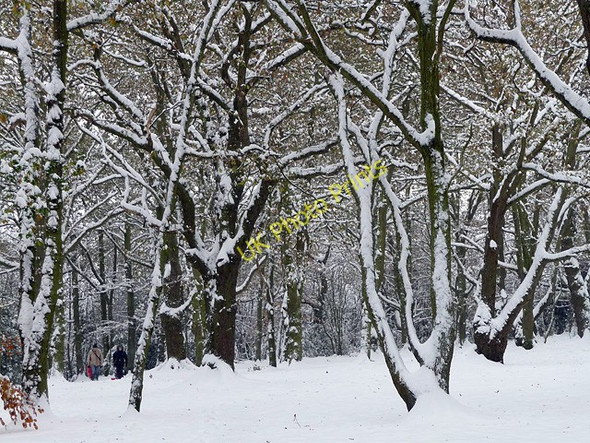 Photo 6"x4" Snowy Streatham Common (6) Streatham c2010