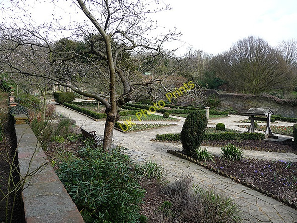Photo 6"x4" The Rookery, Streatham Common (3) Streatham c2010