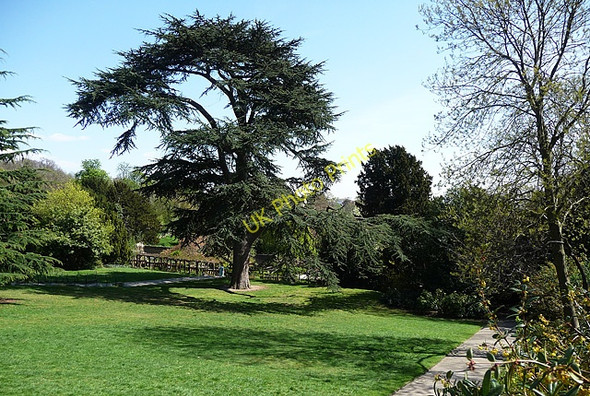 Photo 6"x4" The Rookery, Streatham Common (7) Streatham c2010