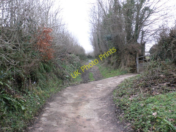 Photo 6"x4" Coleridge Way, near Cutcombe Cross Wheddon Cross c2011