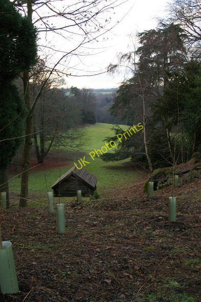 Photo 6"x4" Wakehurst Place: Coates Wood, at the NE corner of the gardens West Hoathly c2011
