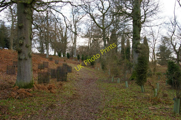 Photo 6"x4" Public footpath crosses Wakehurst Place grounds West Hill\/TQ3230 c2011