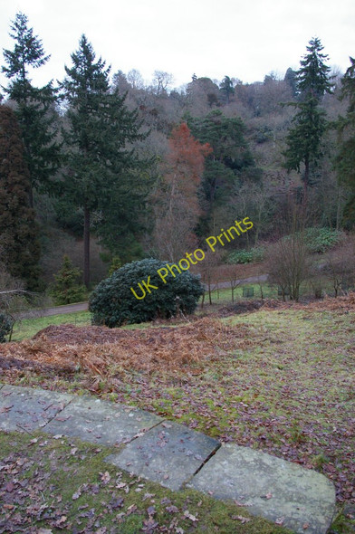 Photo 6"x4" Wakehurst Place West Hill\/TQ3230 c2011