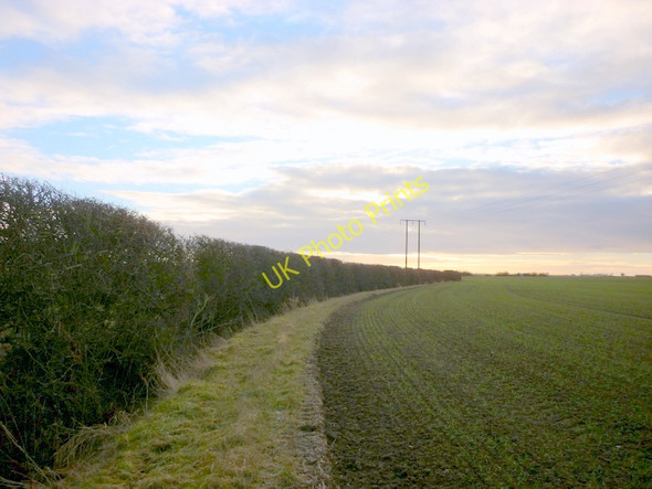 Photo 6"x4" Taking a short cut the reach the footpath Hollym c2011