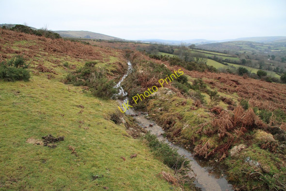 Photo 6"x4" Leat on Sherberton Common Higher Dunstone c2011