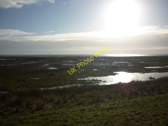 Photo 6"x4" Looking down the Greenwich Meridian Patrington Haven c2011