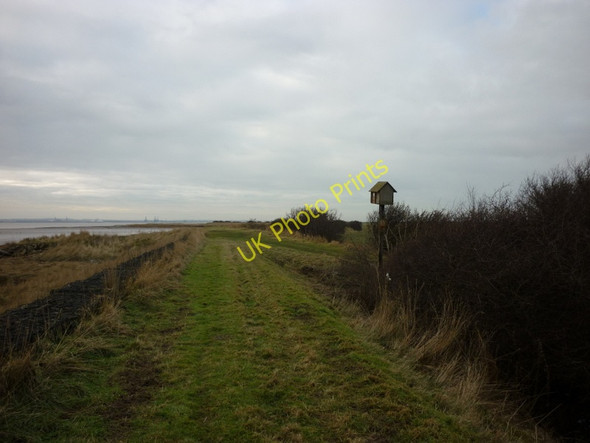 Photo 6"x4" Bird Box #1302 on the banks of the River Humber Sunk Island c2011