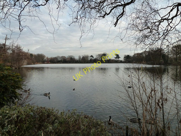 Photo 6"x4" South Norwood Lake, Croydon Penge c2011