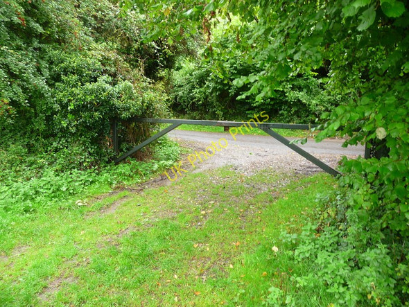 Photo 6"x4" Houghton - The Test Way Footpath Houghton\/SU3432 c2010