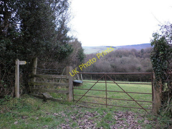 Photo 6"x4" Public footpath to Stowey Wood Cutcombe c2011