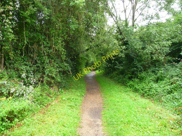 Photo 6"x4" Houghton - The Test Way Footpath Houghton\/SU3432 c2010