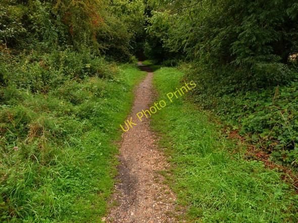 Photo 6"x4" Houghton - The Test Way Footpath Houghton\/SU3432 c2010 P1