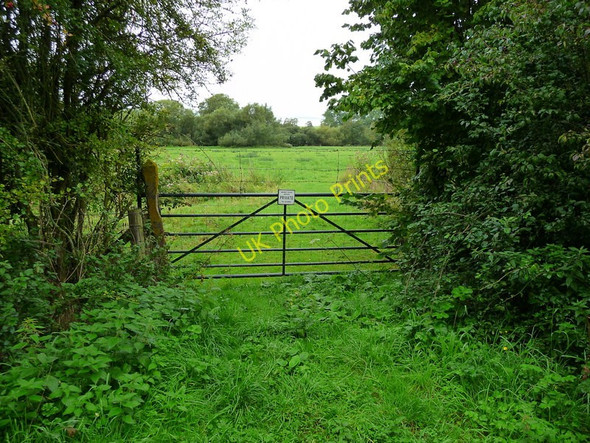 Photo 6"x4" Houghton - The Test Way Footpath North Houghton c2010