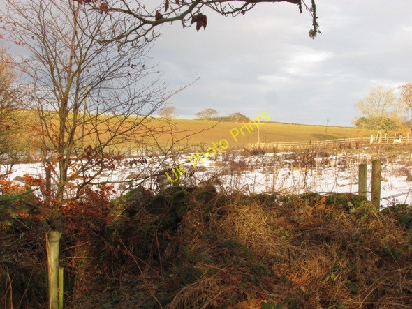 Photo 6"x4" Fields and woodland, Sisterpath Fogo c2011
