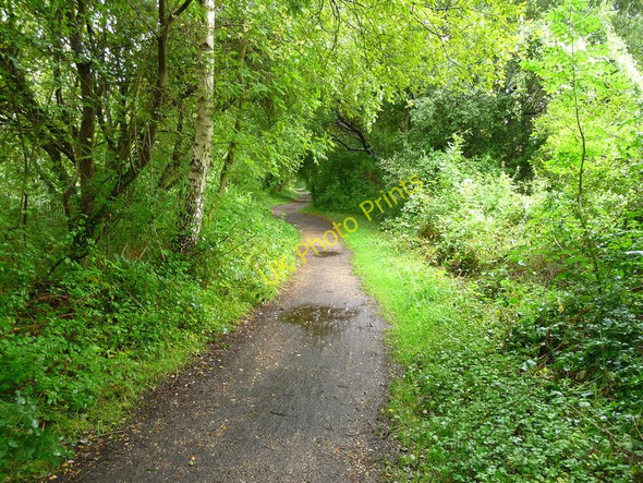 Photo 6"x4" Stockbridge - The Test Way Footpath North Houghton c2010
