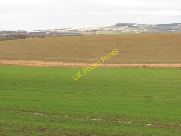 Photo 6"x4" Winter crops, Fogorig Fogo c2011