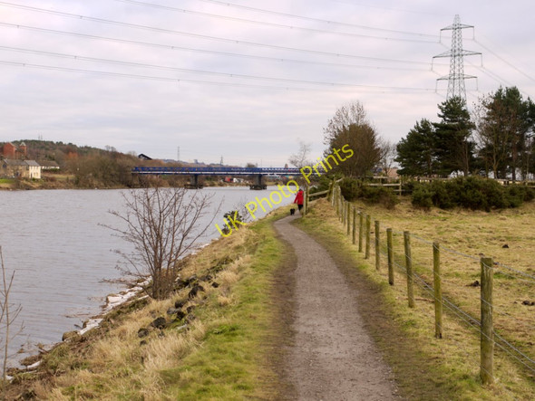 Photo 6"x4" Riverside path west of Newburn Bridge Ryton\/NZ1564 c2011