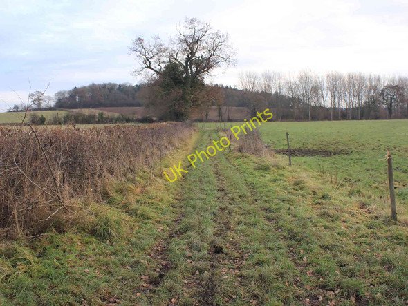 Photo 6"x4" Bridleway towards Ardenhill Spinney Littleworth\/SP2363 c2011