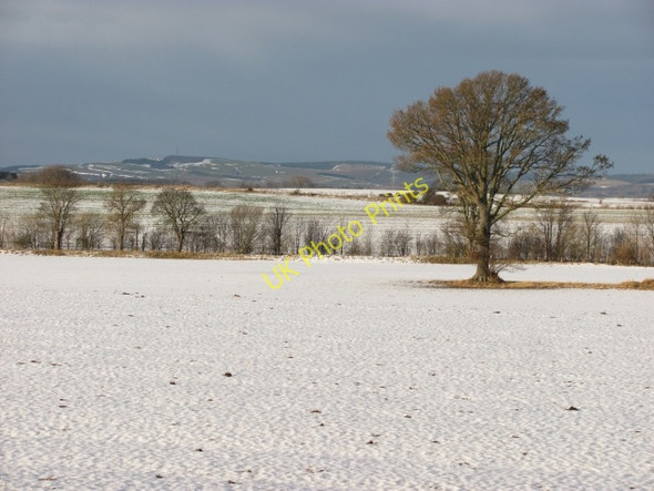 Photo 6"x4" Oak, Swinton Swinton\/NT8347 c2011