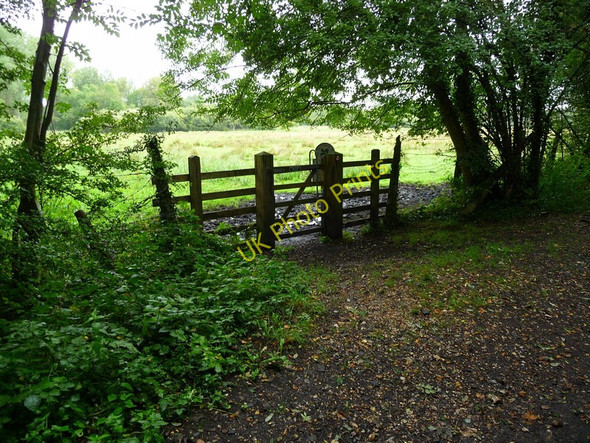Photo 6"x4" Stockbridge - The Test Way Footpath North Houghton c2010
