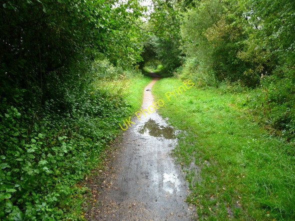 Photo 6"x4" Stockbridge - The Test Way Footpath North Houghton c2010