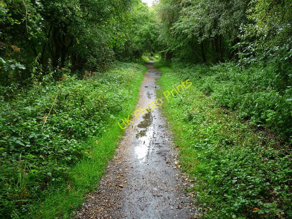 Photo 6"x4" Stockbridge - The Test Way Footpath North Houghton c2010