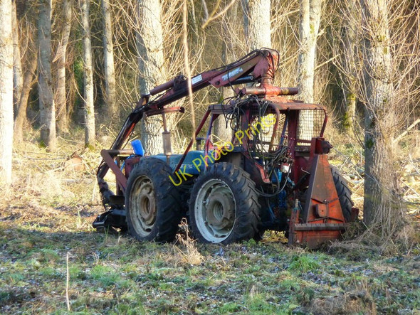 Photo 6"x4" Longstock - Logging Leckford c2010