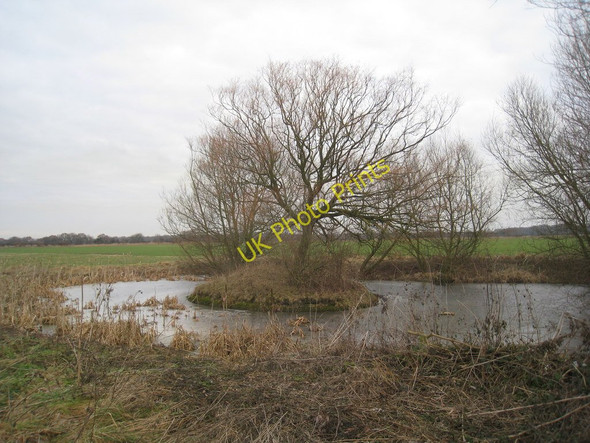 Photo 6"x4" Pond with tree Newton on Trent c2011