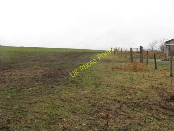 Photo 6"x4" Grass field, Mountain Cross Steading Mountain Cross c2011