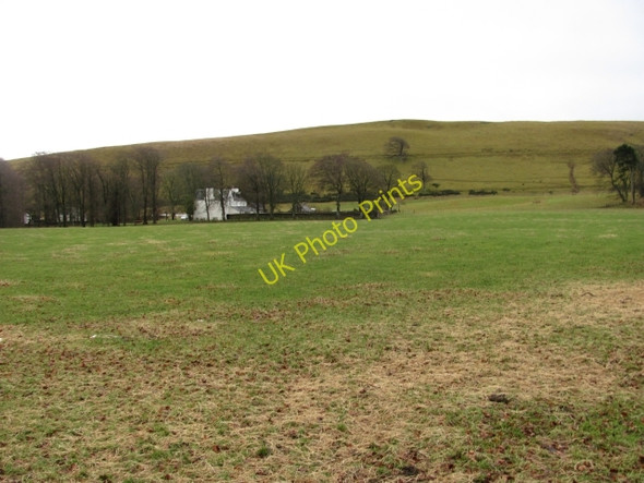 Photo 6"x4" Grassland, Kirkurd Kirkurd c2011