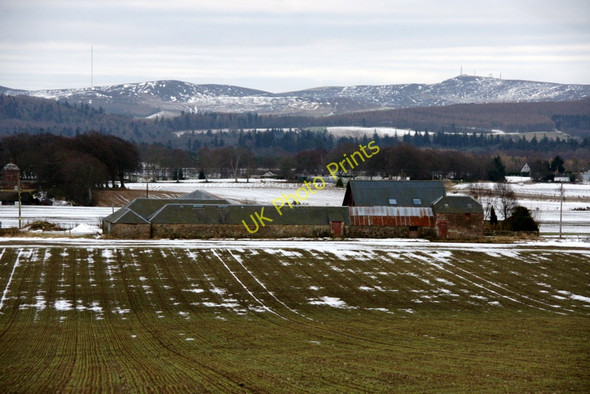 Photo 6"x4" Wester Logie, south of Kirriemuir Kirriemuir c2011