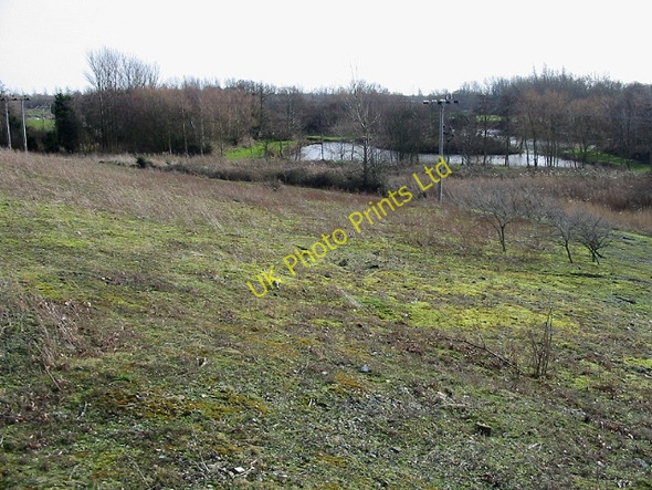 Photo 6"x4" Black Lake from Fowlmead Country Park Deal c2008