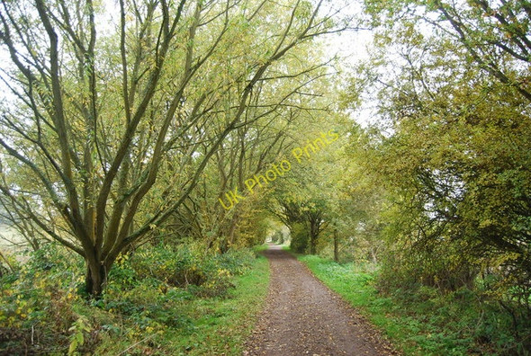 Photo 6"x4" Forest Way Quabrook c2010