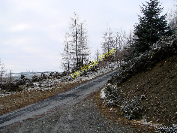 Photo 6"x4" The road to Bryn Diliw Llangurig c2011
