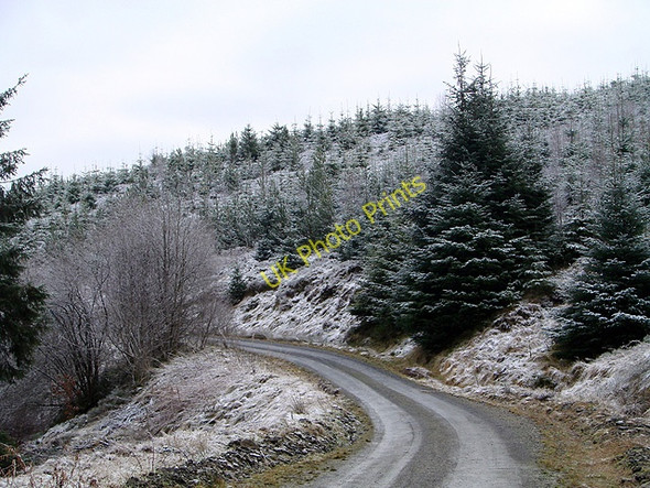 Photo 6"x4" Forestry road near Pen Cloddiau Llanifyny c2011