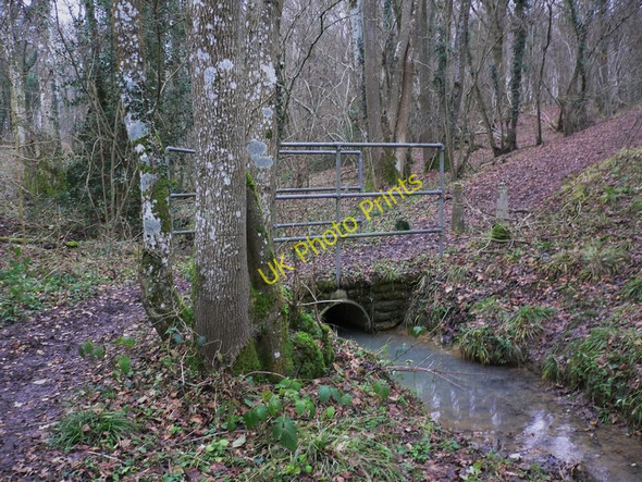 Photo 6"x4" Footbridge near Dunsfold Dunsfold Green c2011