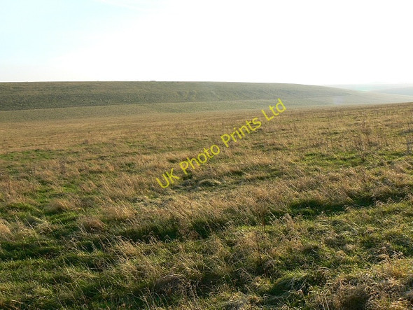 Photo 6"x4" Great Fore Down, Salisbury Plain Townsend\/SU0456 c2008