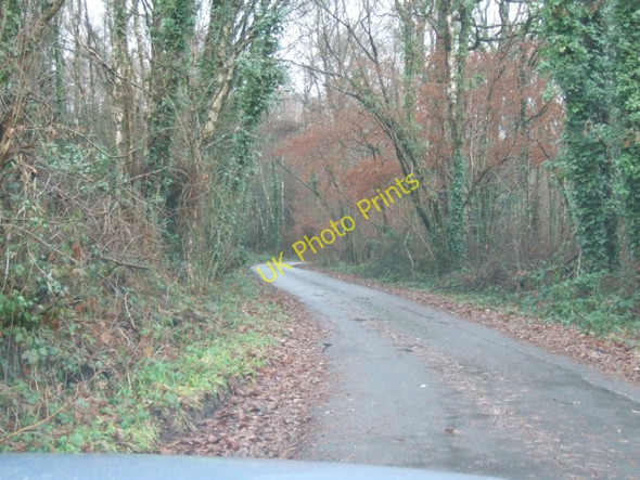 Photo 6"x4" Road through the wood at Kentis Moor Aller\/ST0506 c2011